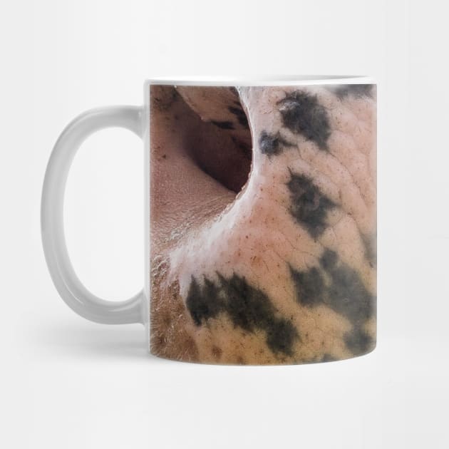 cow mouth face mask - cow lover gifts - cow face masks funny by jack22